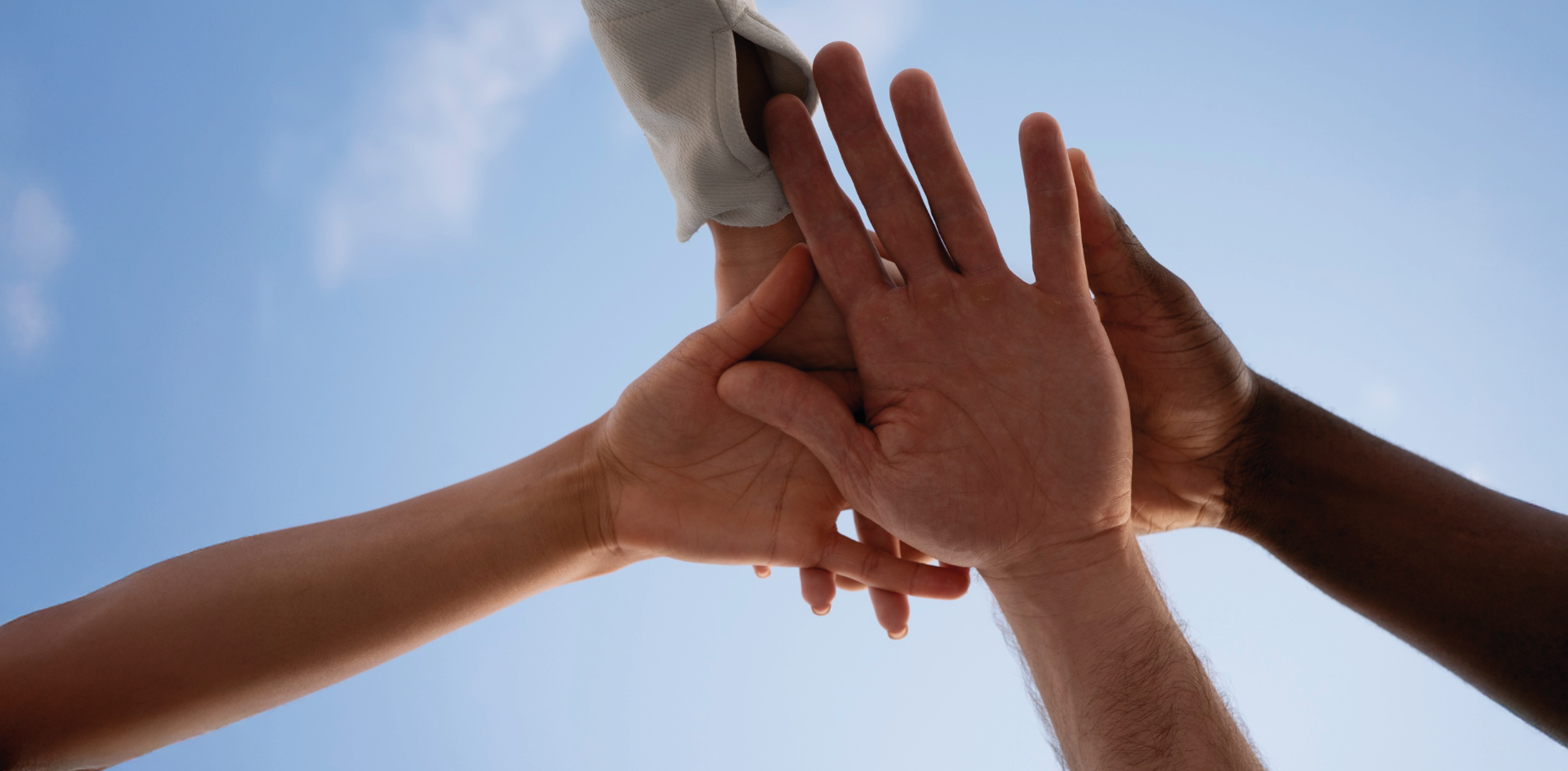 Dia Internacional dos Direitos Humanos